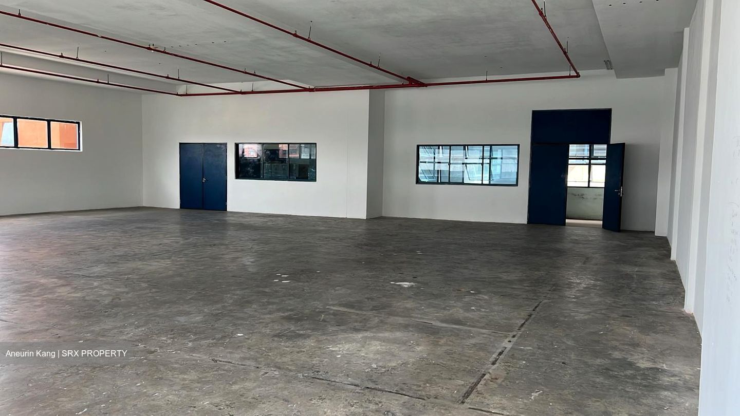Loyang Industrial Estate (D17), Factory #439254001